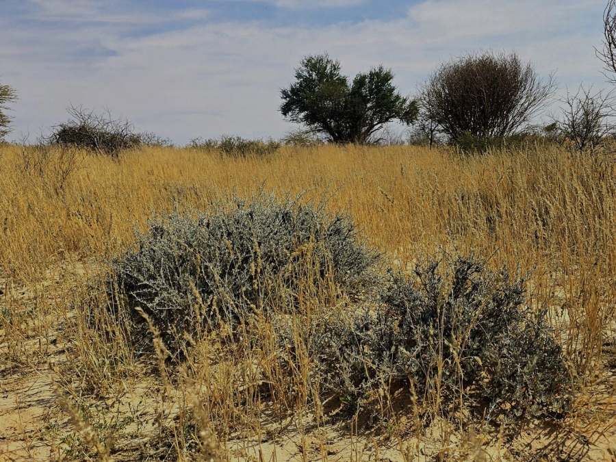 Commercial Property for Sale in Hotazel Rural Northern Cape